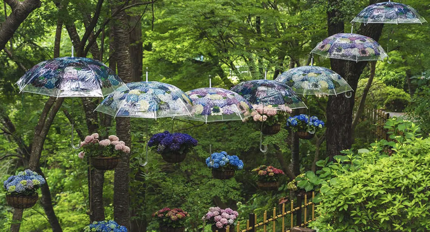 龍尾山 救馬渓観音(すくまだにかんのん)で写経と座禅体験