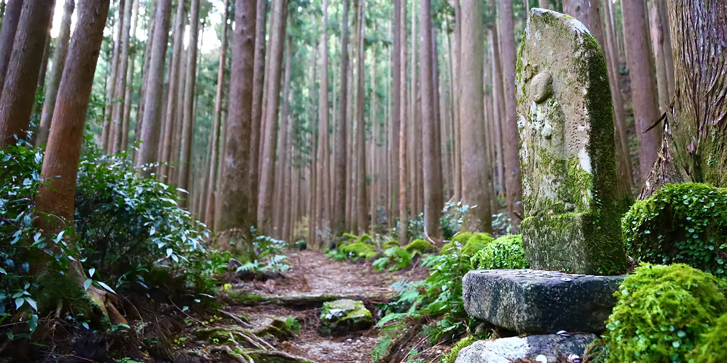 Kumano Kodo
