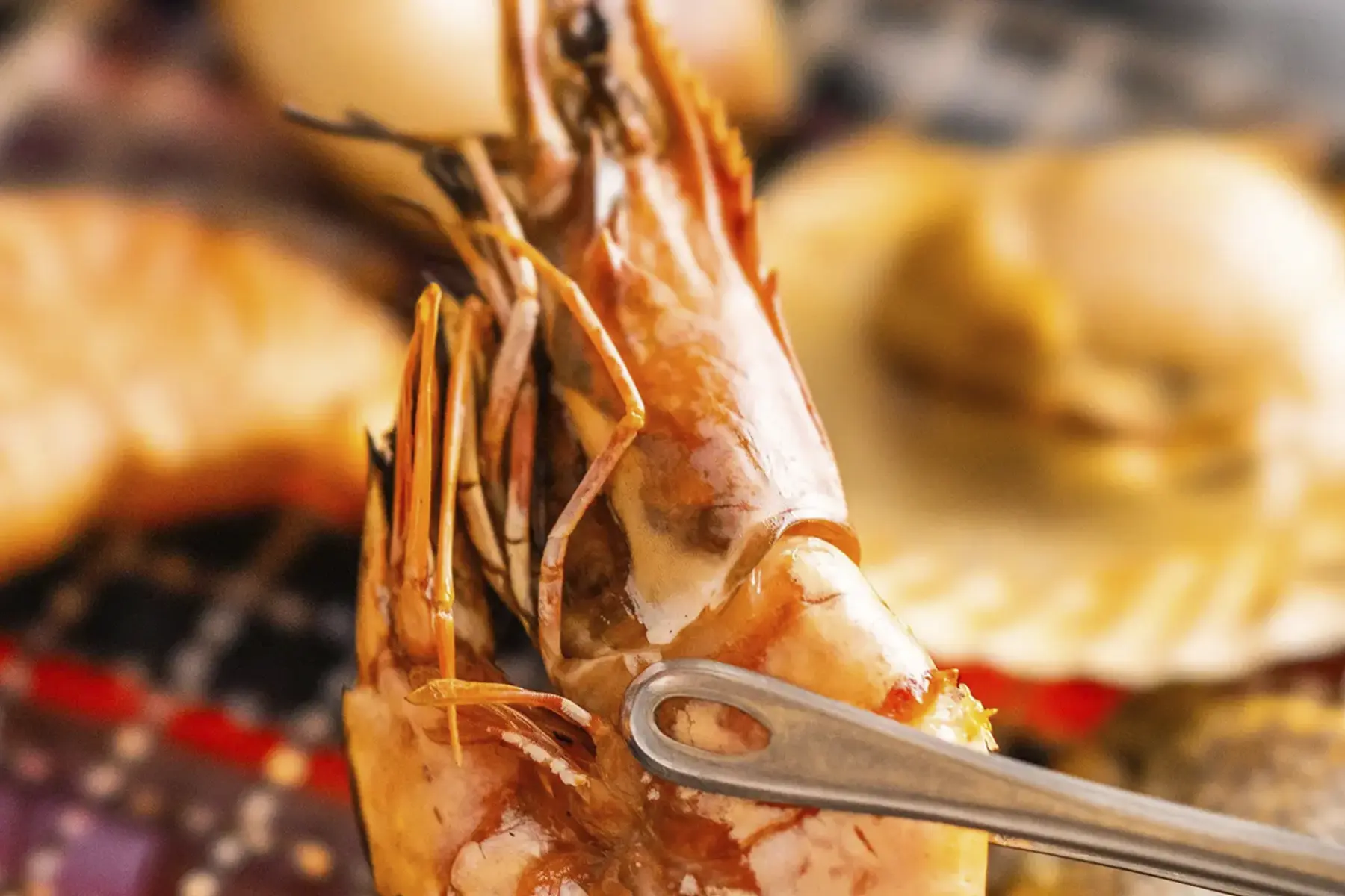 3月よりレストランにオープングリルが新登場!食の楽しみが広がります。