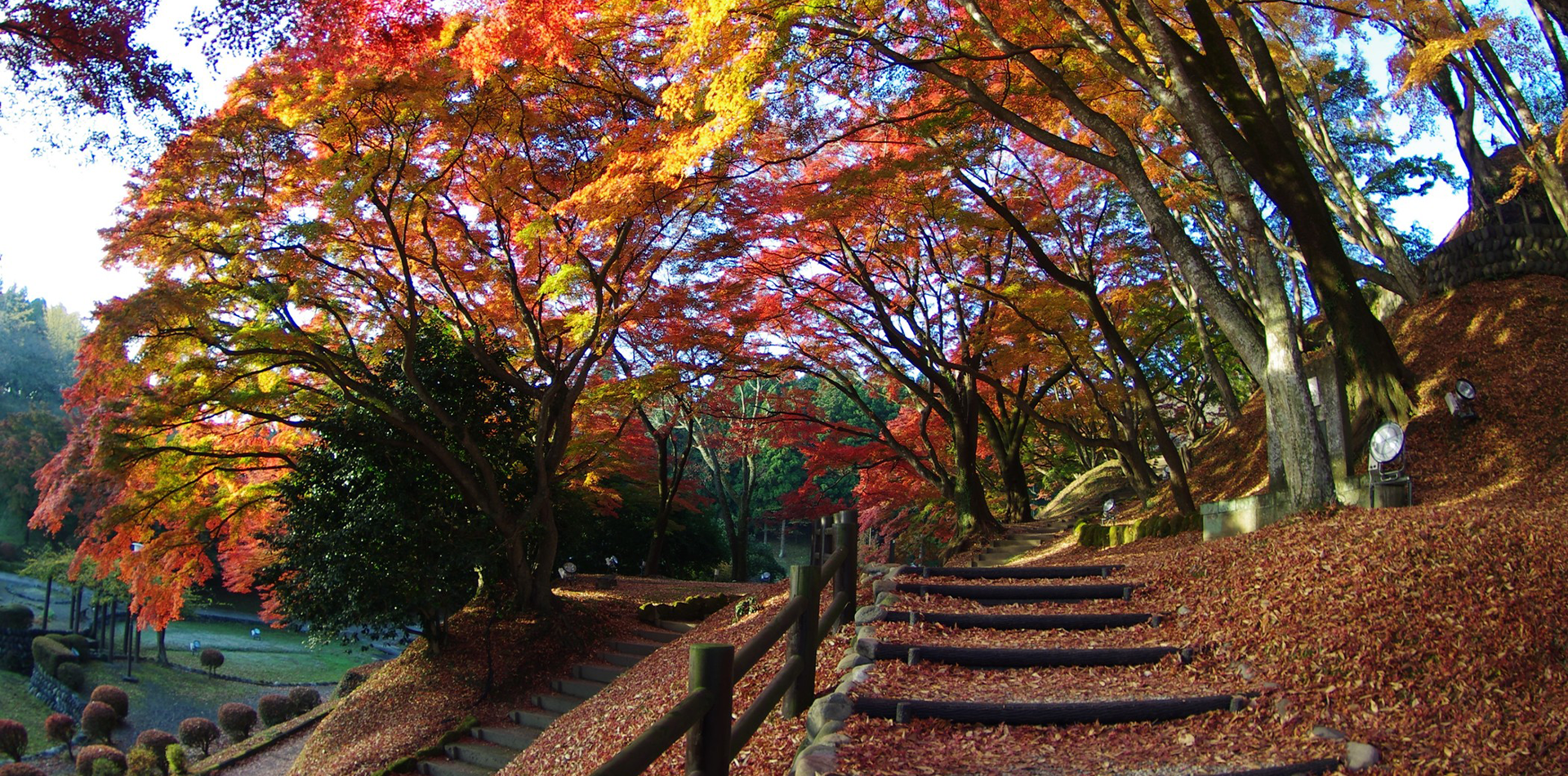 風景
