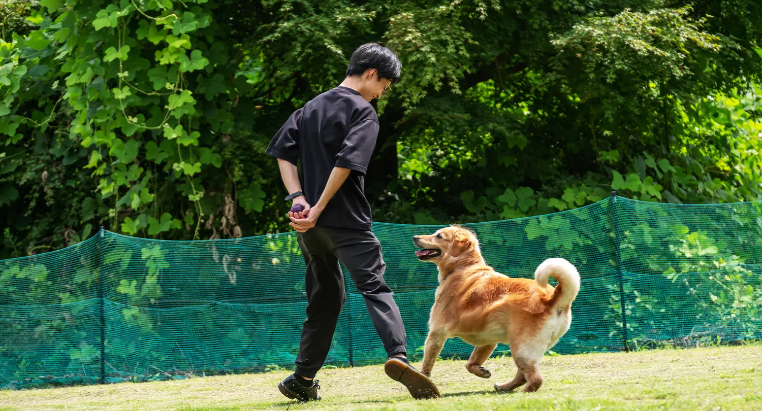 ワンちゃんルーム