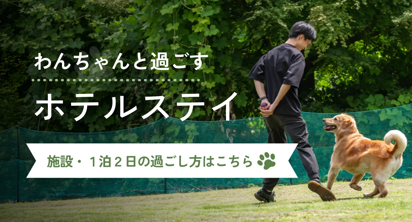 わんちゃんと過ごすホテルステイ 施設・1泊2日の過ごし方はこちら
