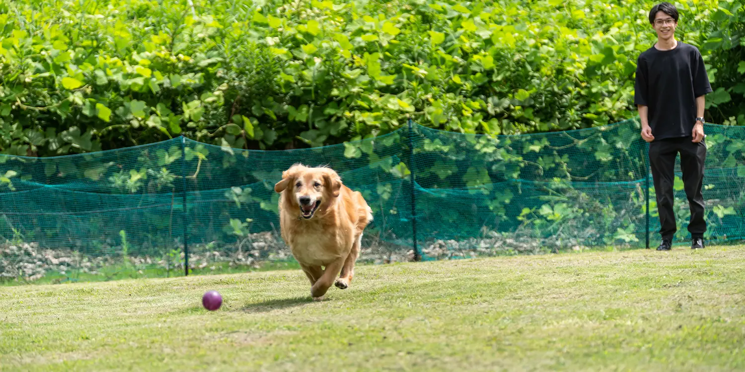 ドッグラン