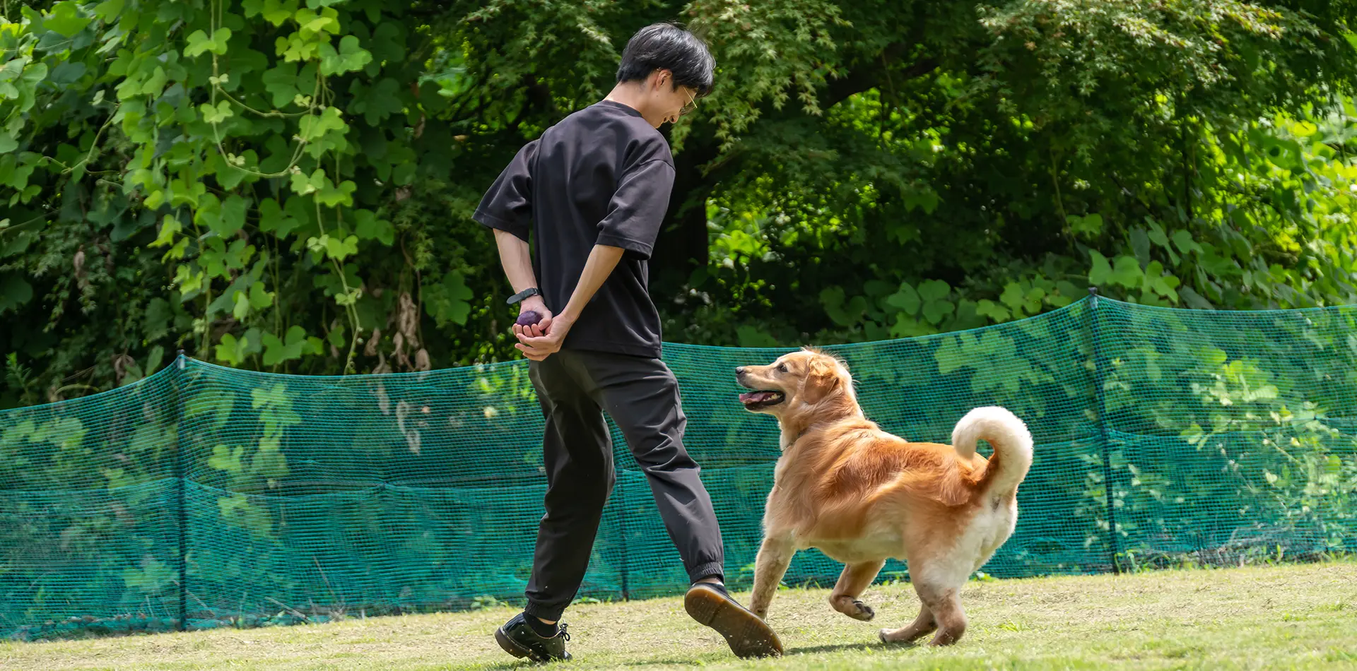 わんちゃんと過ごすホテルステイ
