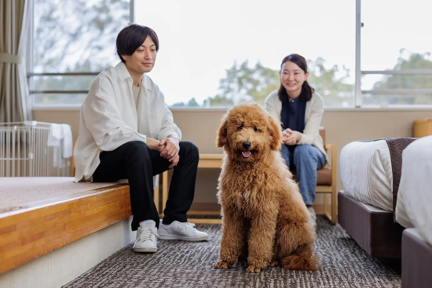 ドッグフレンドリールームのご案内