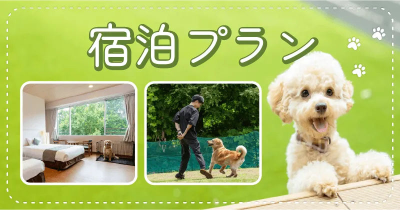 わんちゃんと泊まれるプラン