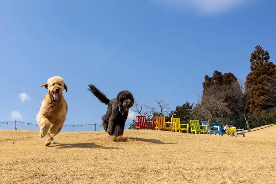 2日目 10:00～チェックアウト、58ロハスクラブへ