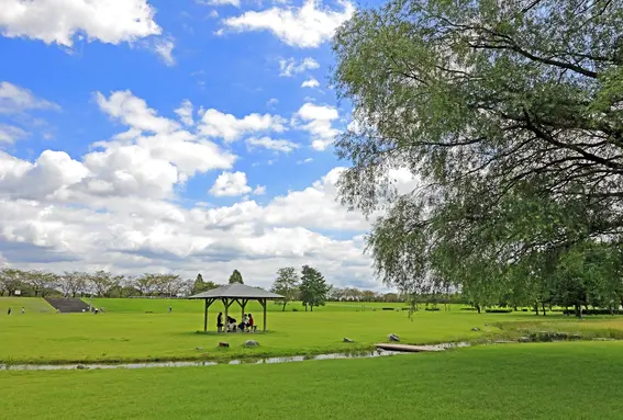 Ujiie Yuuyu Park