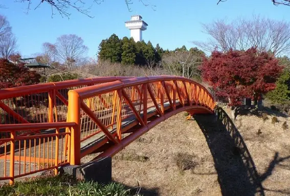小丸山公園