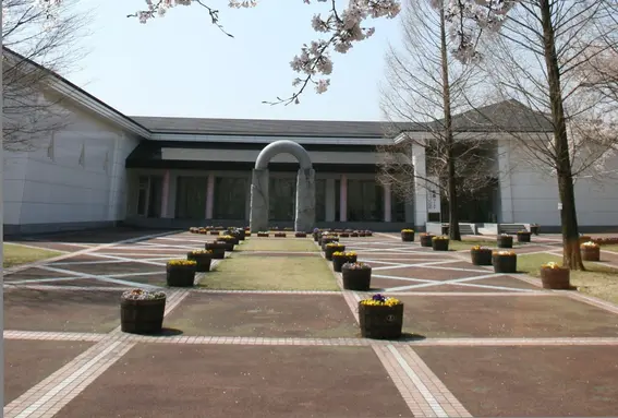 佐倉市立博物館 / 新井漢方紀念館