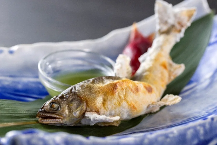 【特別会席】料理長厳選の土佐の旬の食材を味わう春爛漫極上会席