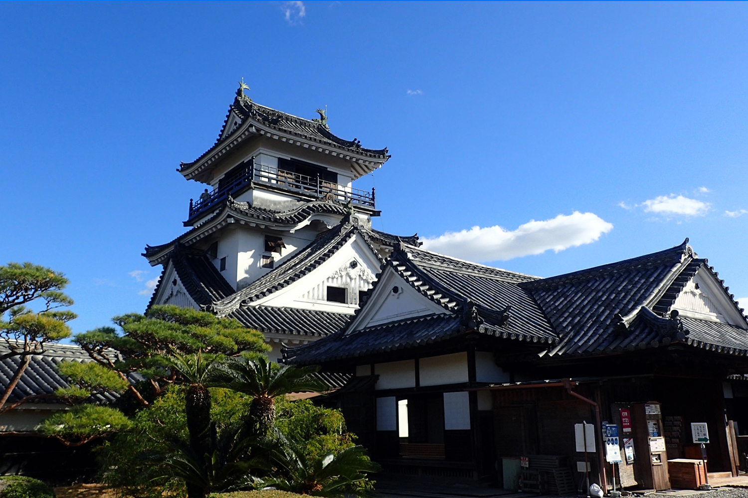 高知城で紅葉を楽しむ