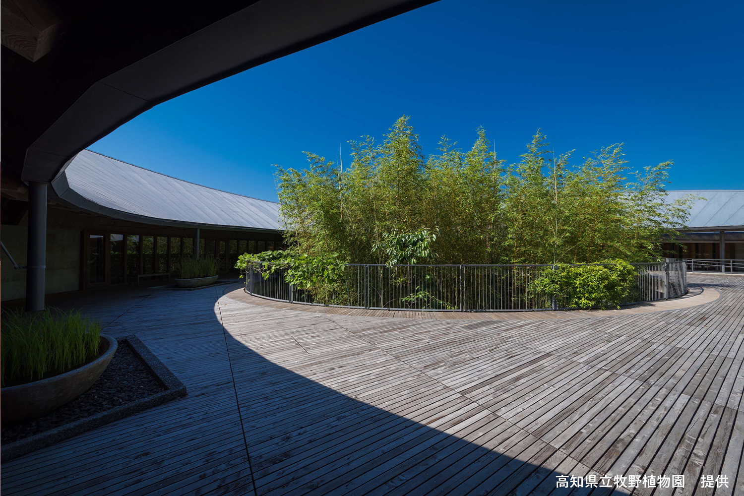 高知県立牧野植物園を散策