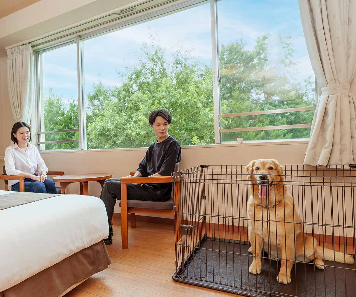 Guestroom
