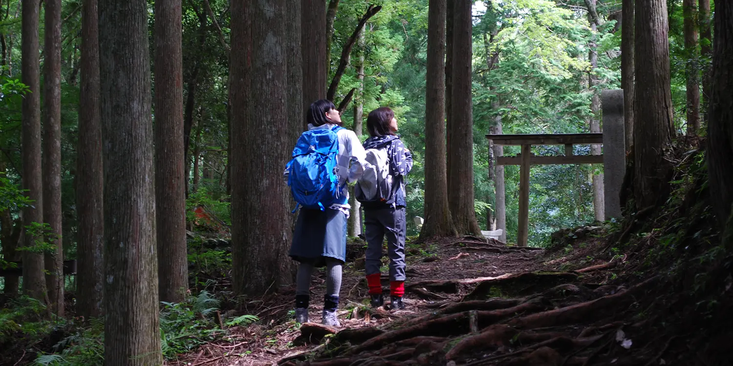 Kumano Kodo