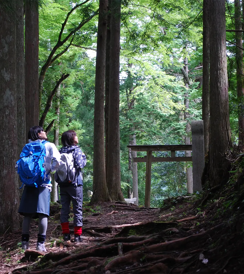 Based at Hot springs inns overlooking the sea, embark on a pilgrimage journey through Kishu.
