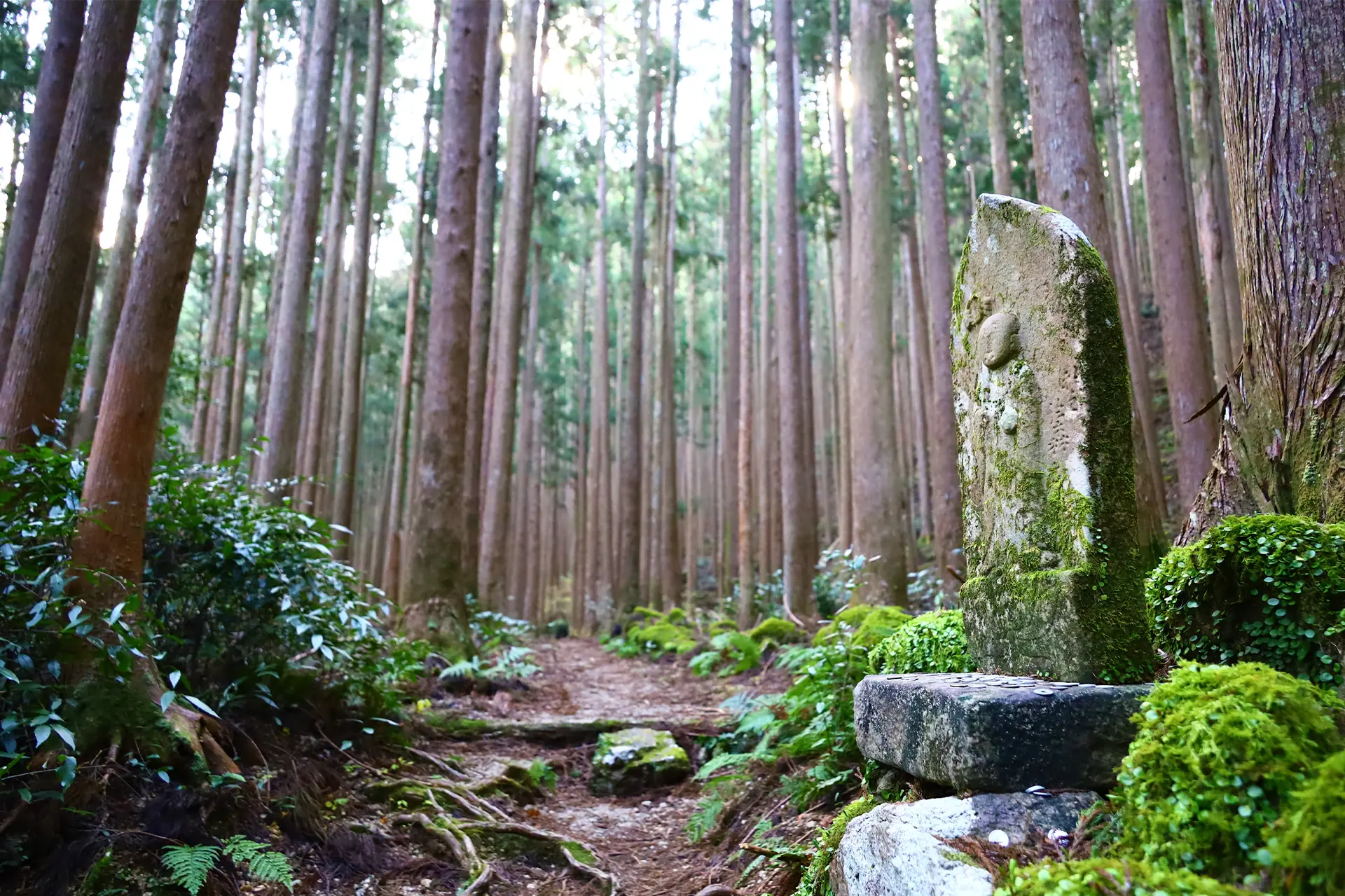 Prepare at sea and head to the mountains. Kii-Tanabe The Beginning of the Kumano Kodo