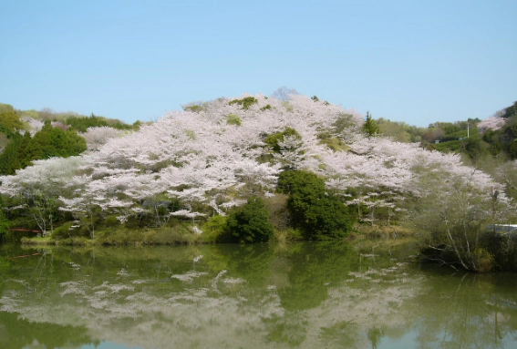 動鳴気渓