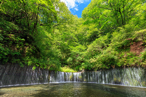 白糸の滝