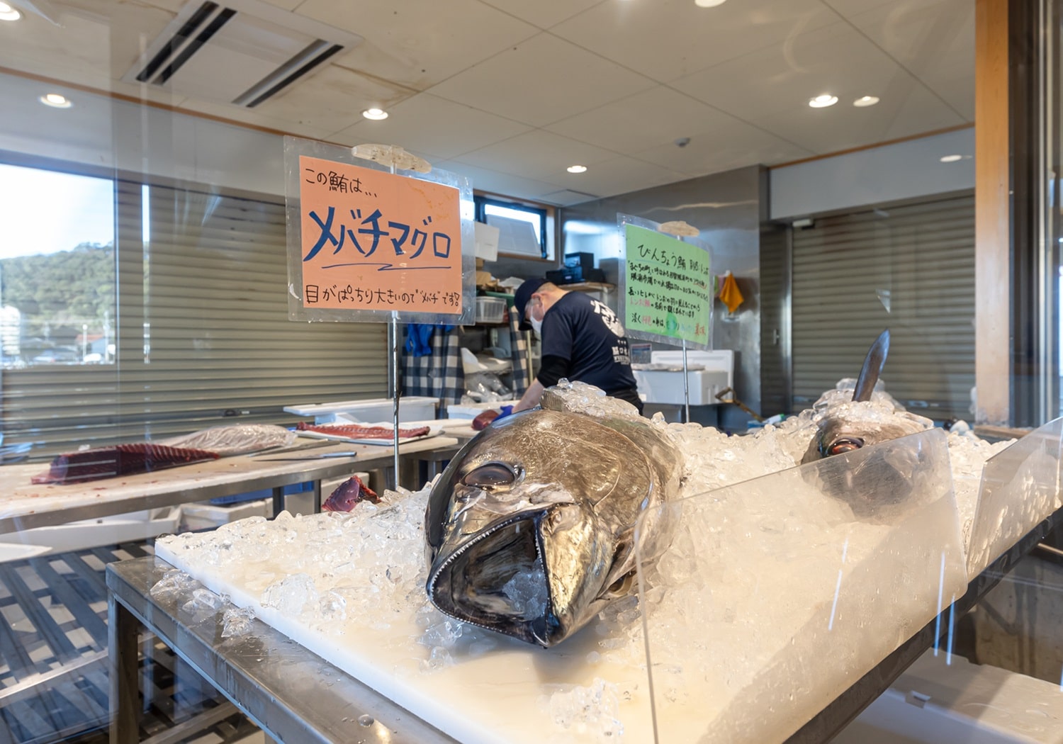 勝浦漁港にぎわい市場