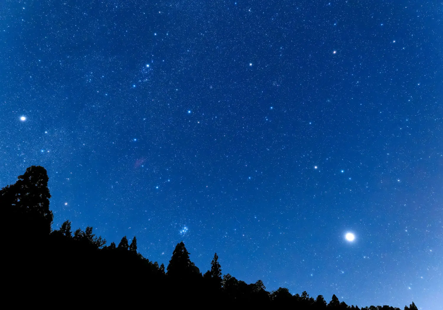 星空観察
