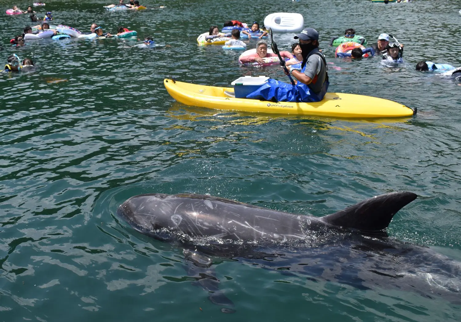 くじら浜海水浴場