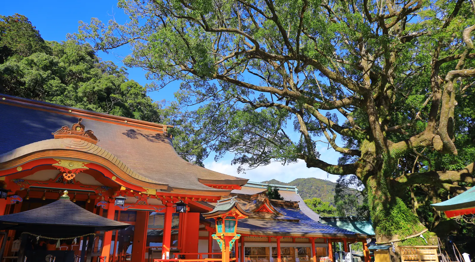 熊野那智大社