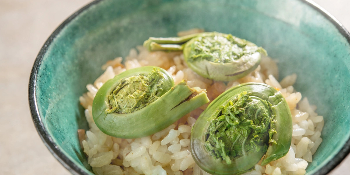 旬を活かした会席料理