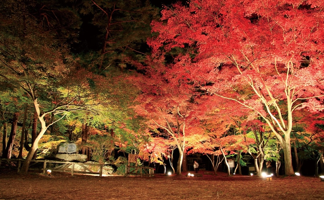 月之石紅葉公園