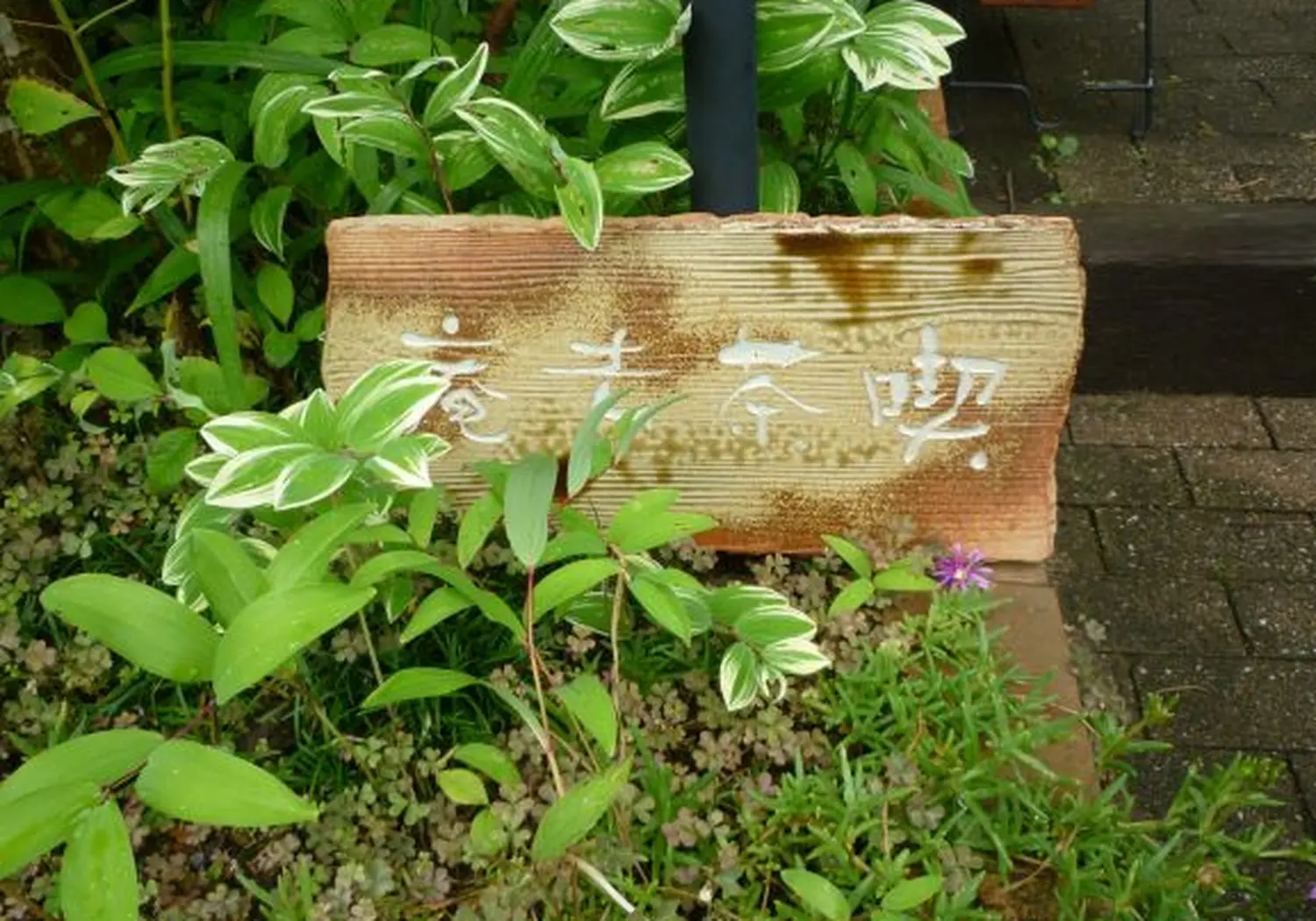茶体验