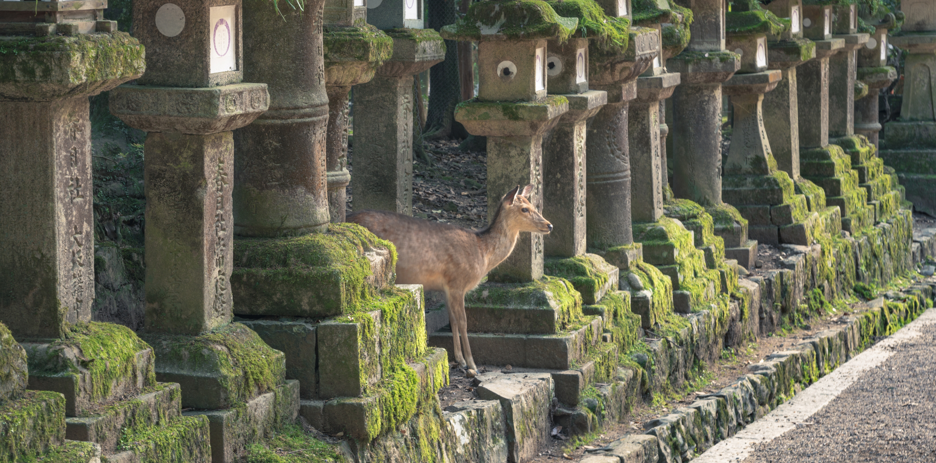 For spring and summer