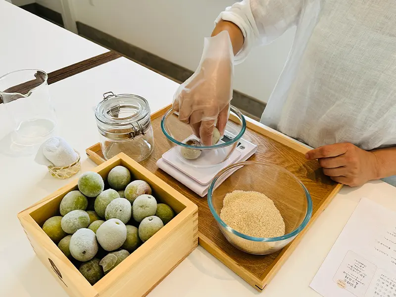 오리지널 매실주·매실 시럽 만들기 체험