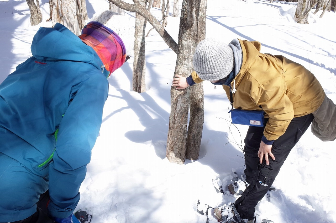 冬の奥日光を歩こう！朝のスノーシューツアー