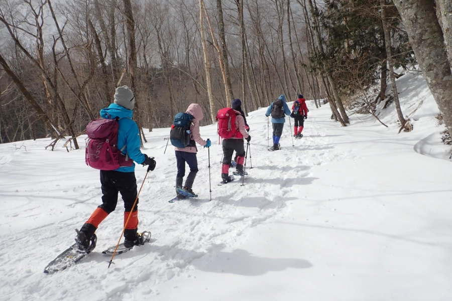スノーシュー
