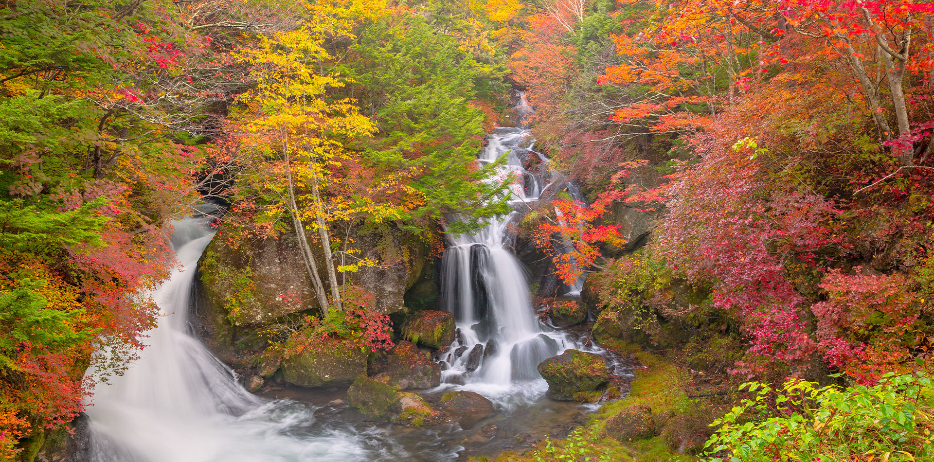 9月下旬～　紅葉の名所"奥日光"で秋の風情を感じる旅