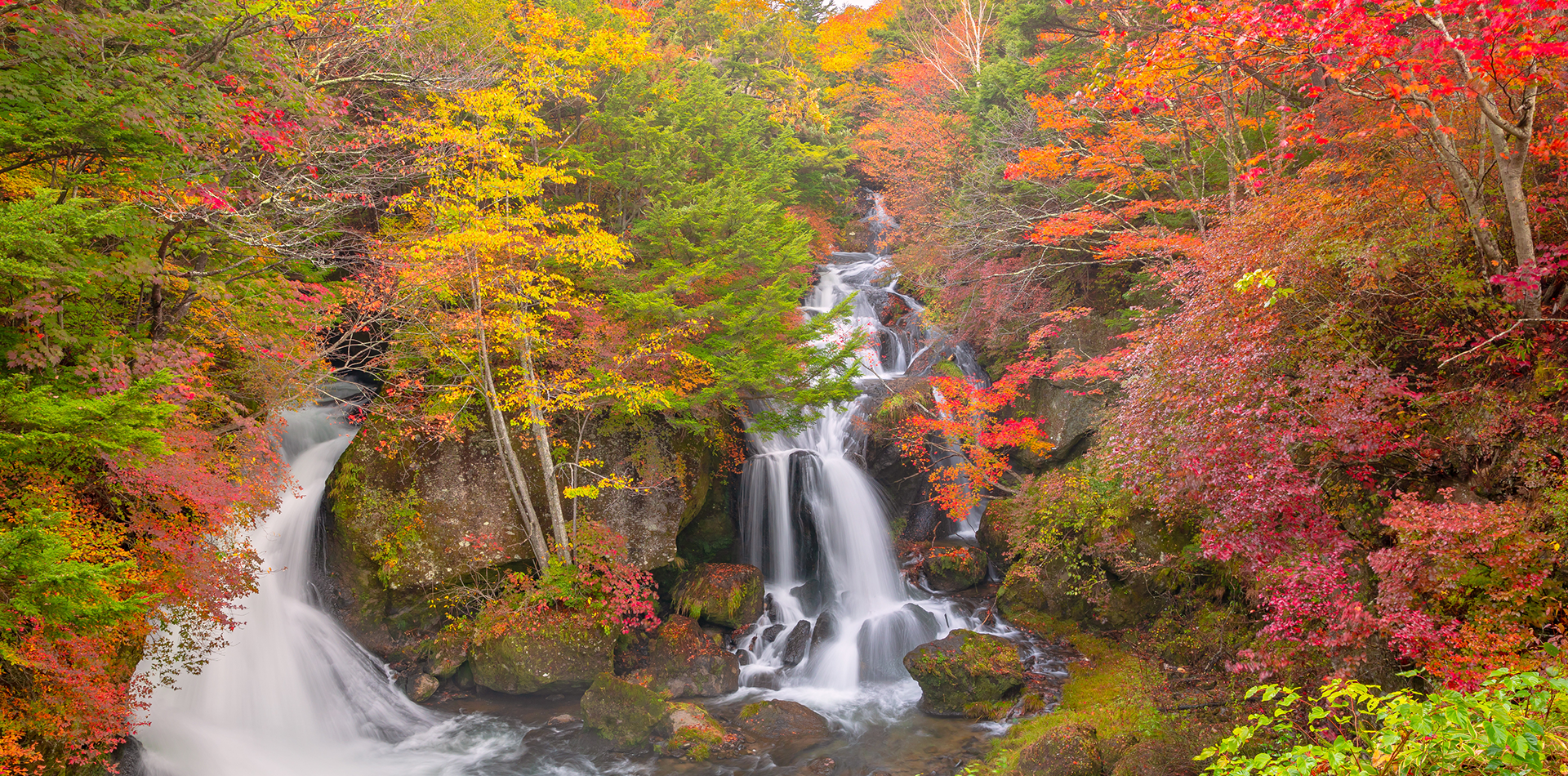 奥日光の紅葉は10月が見頃です