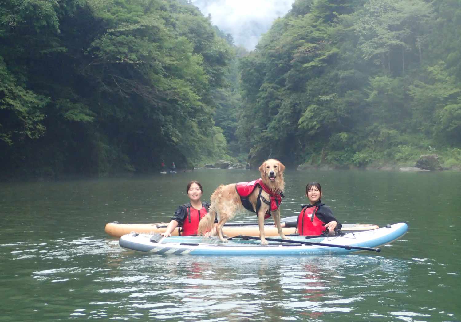 ドッグSUPツアー