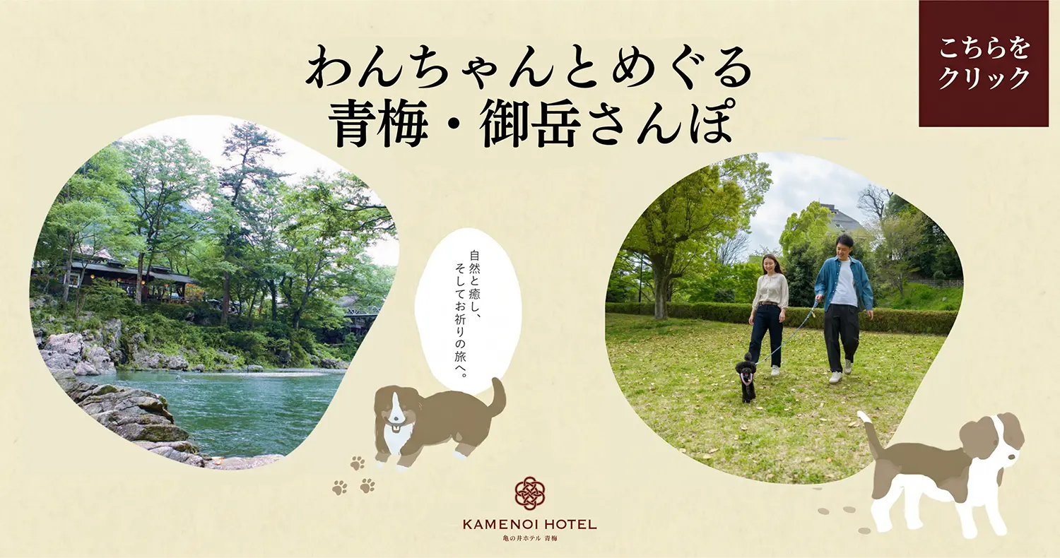 わんちゃんとめぐる青梅・御岳さんぽ