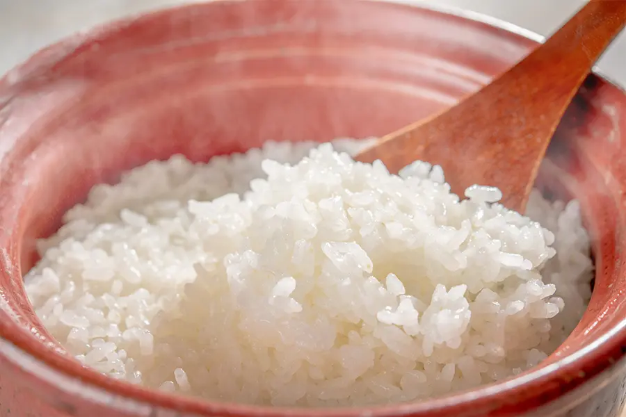 ワンちゃんと楽しむ部屋食