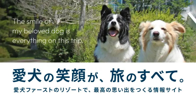 愛犬との旅をもっと楽しく、もっと安心に♪全国各地の観光情報や旅行準備ガイドをお届け！