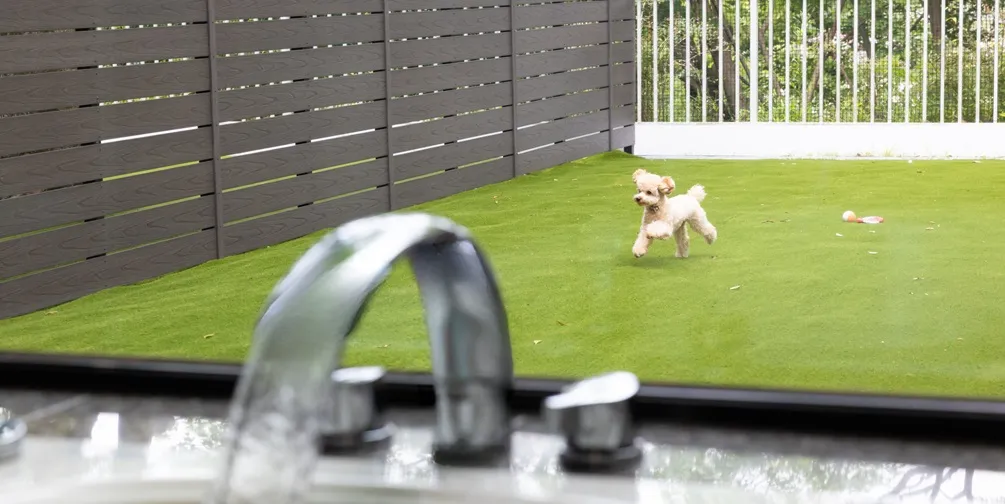 ワンちゃんと過ごすホテルステイ