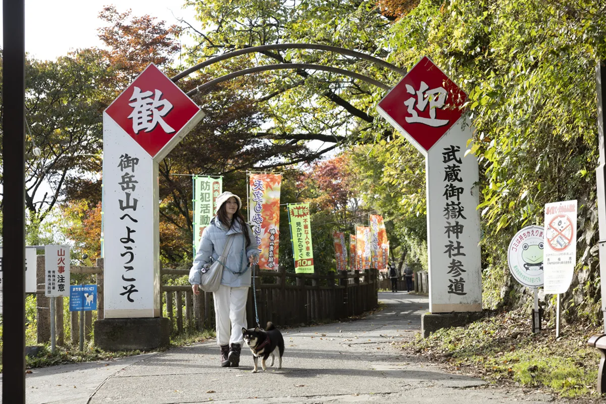 ワンちゃんと楽しめるおススメスポット