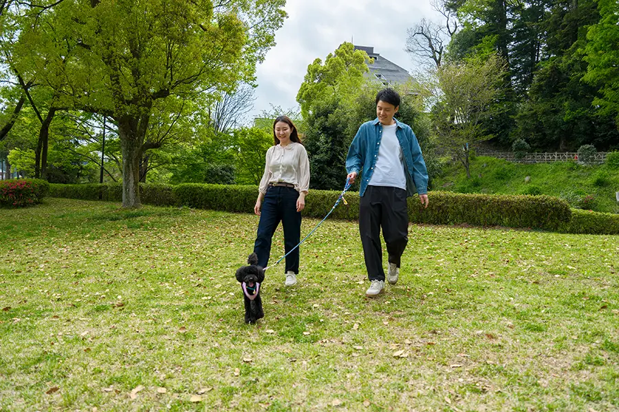 釜の淵公園