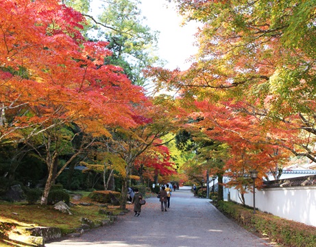 红叶谷公园