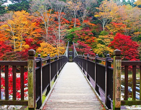 Red Suspension Bridge