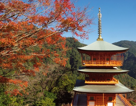 Nachi Taisha Shrine