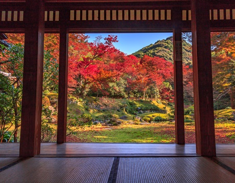 清水山本坊庭园