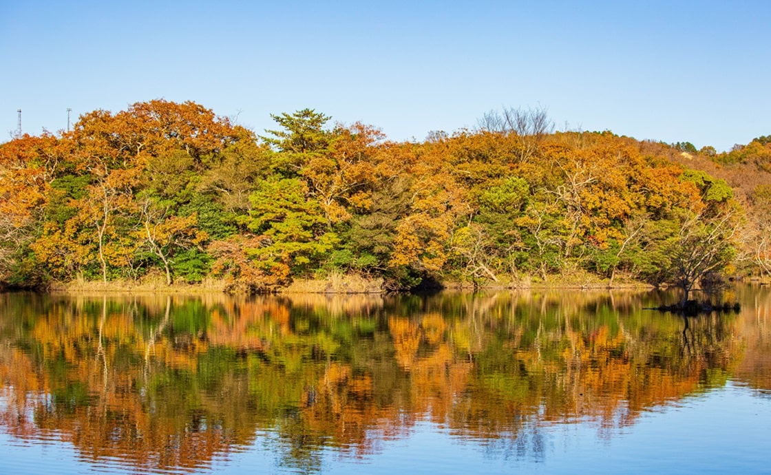 一平湖