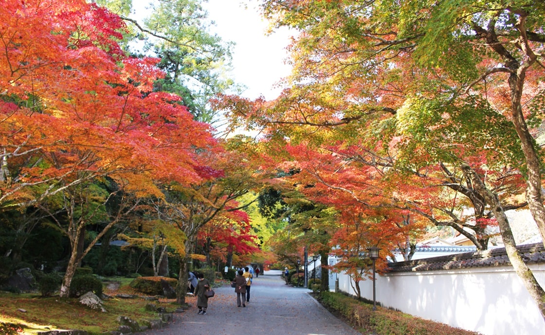 紅葉谷公園