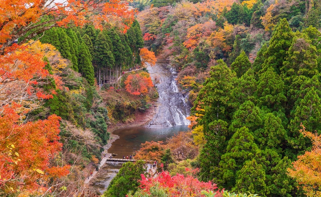 養老渓谷